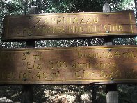 ppinazzu-20100402 072